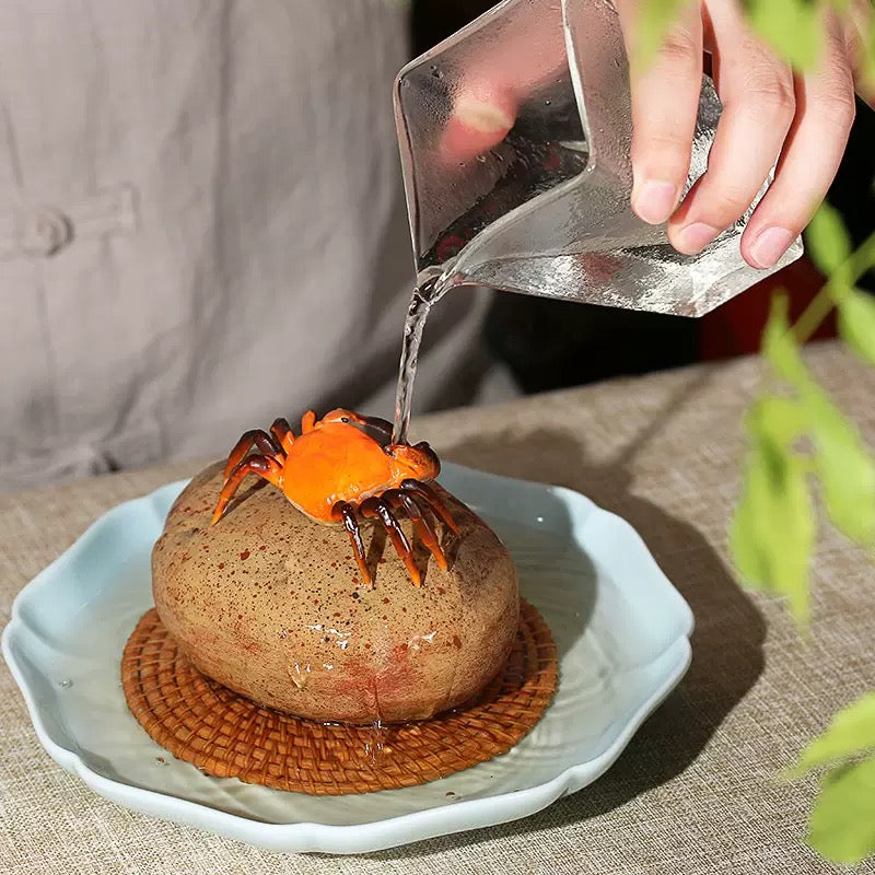 Color Changing Crab Tea Pet