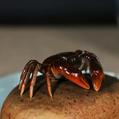 Color Changing Crab Tea Pet