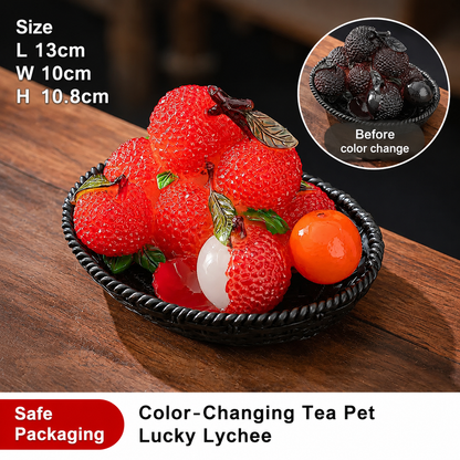 Color Changing Litchi Tea Pet